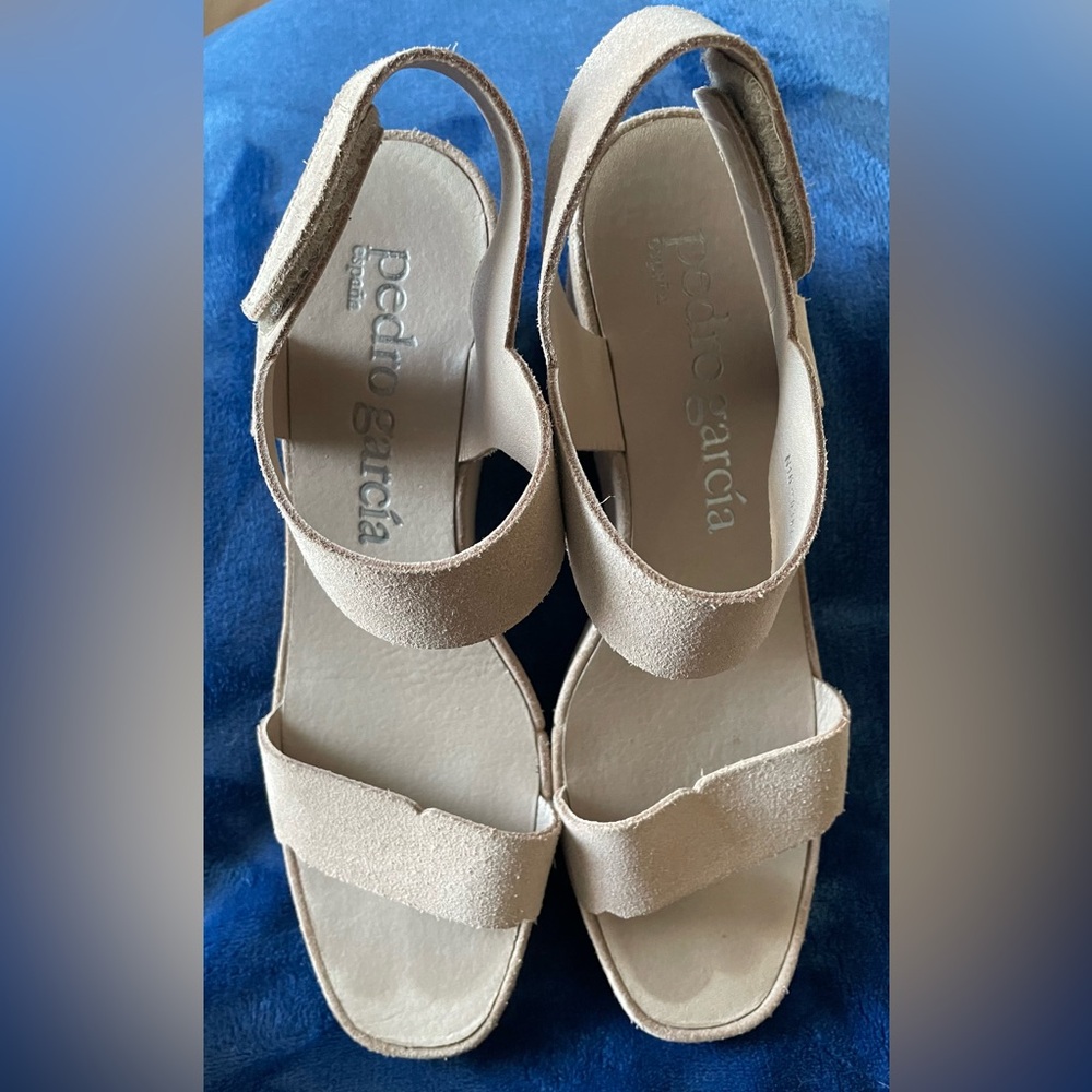 Pedro Garcia Suede Wedge Sandal